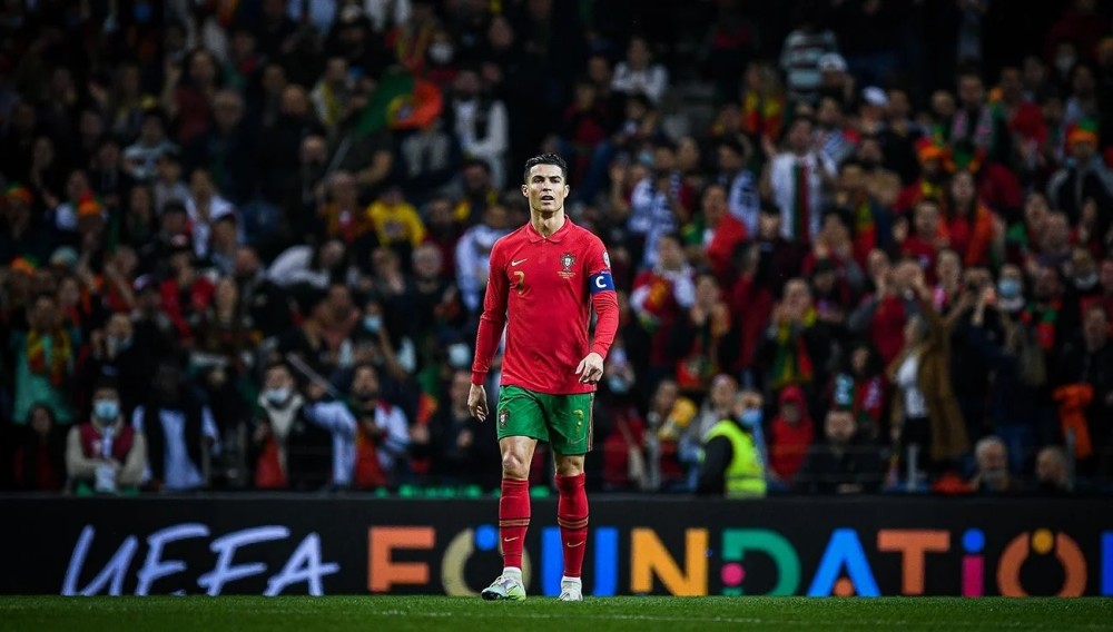 具性价比 具性价比