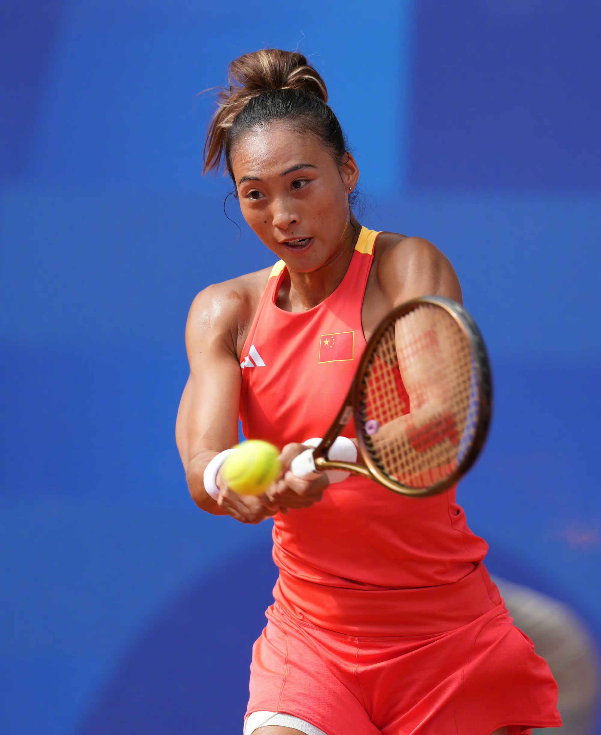 维斯防线的 维斯防线的