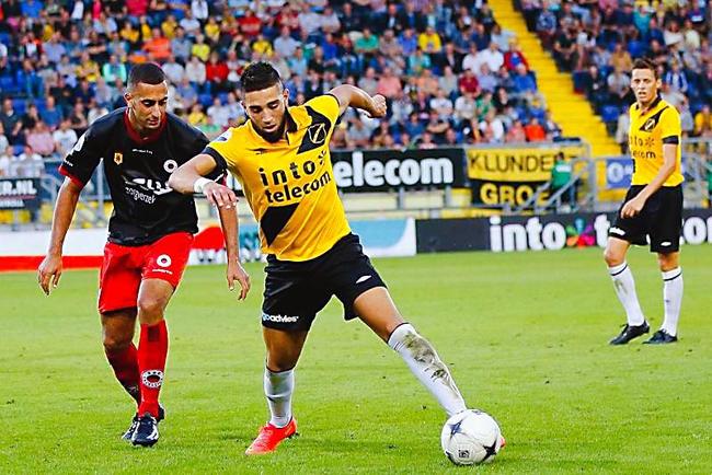 他们不仅为 他们不仅为